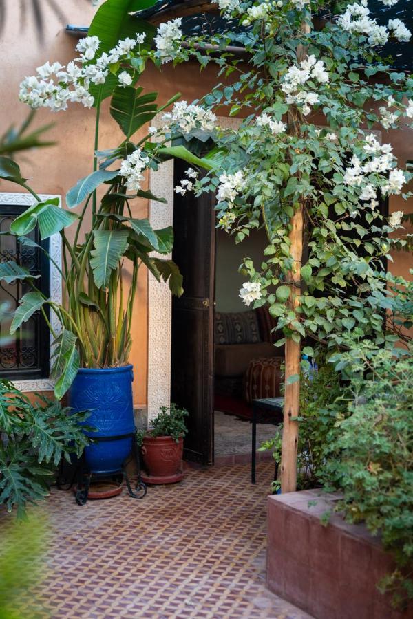 Riad Hanan ワルザザート エクステリア 写真